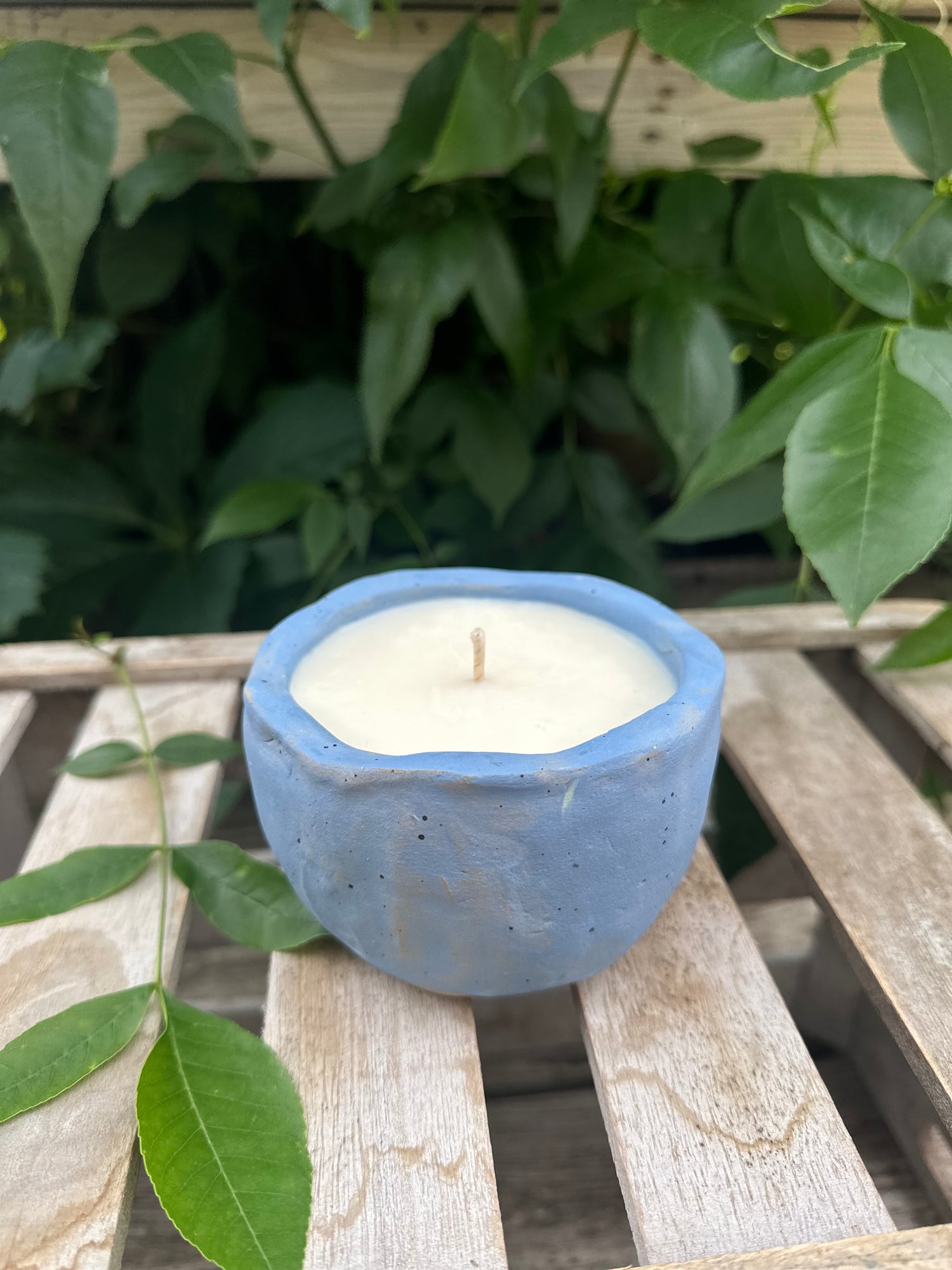 Acuario Signature Blend Candles