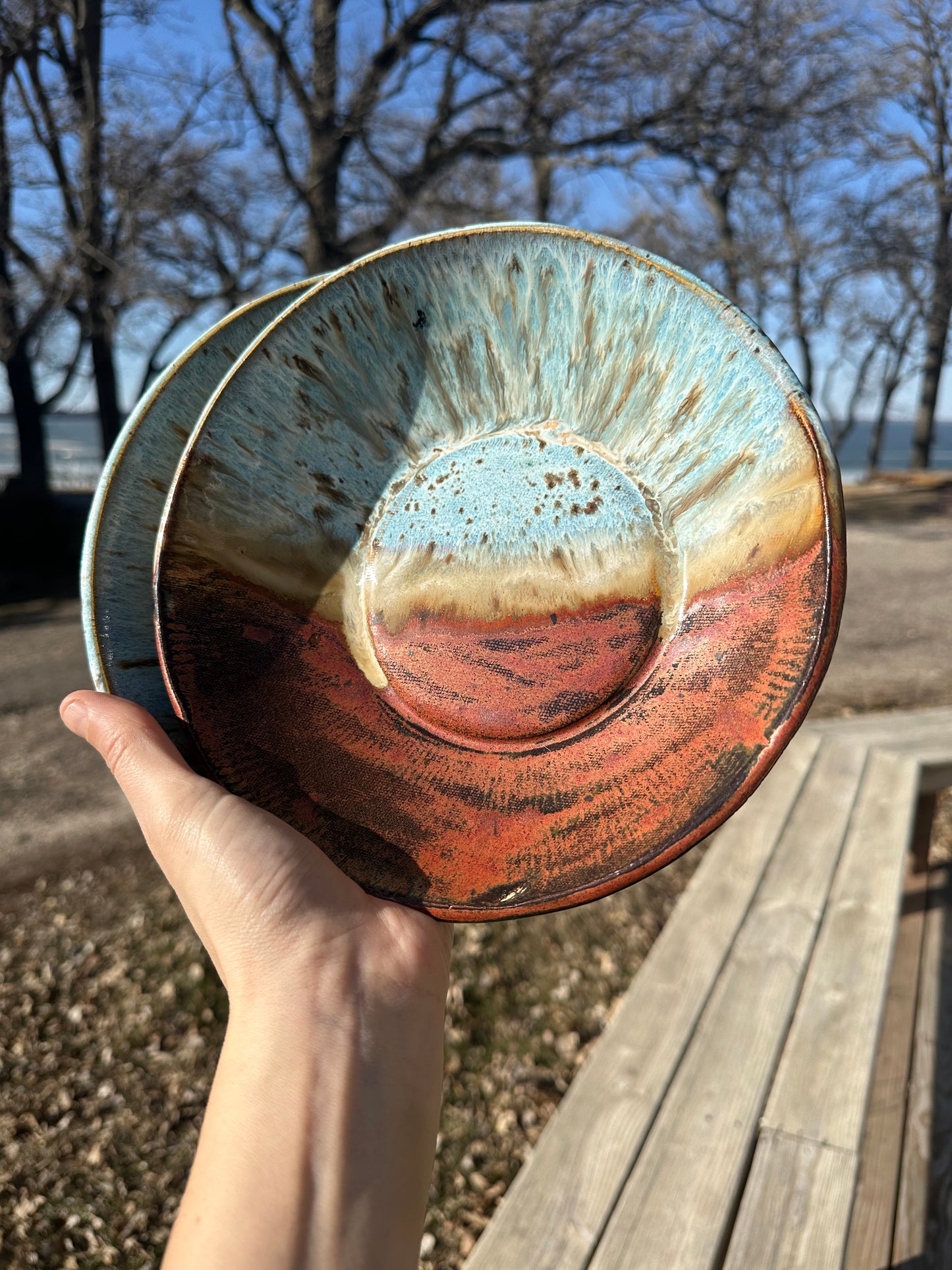 Bold Dish-Desert Sky 1